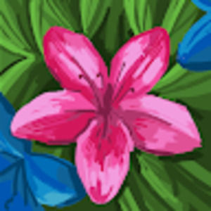 Meet your Posher, Kinley